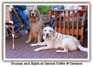 Kayla and a Golden Retriever on a restaurant deck