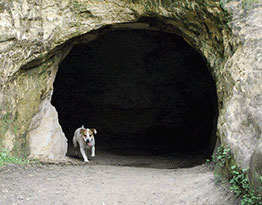 Ghost Tunnel, Black Diamond Mines - Nick Fullerton (CC)