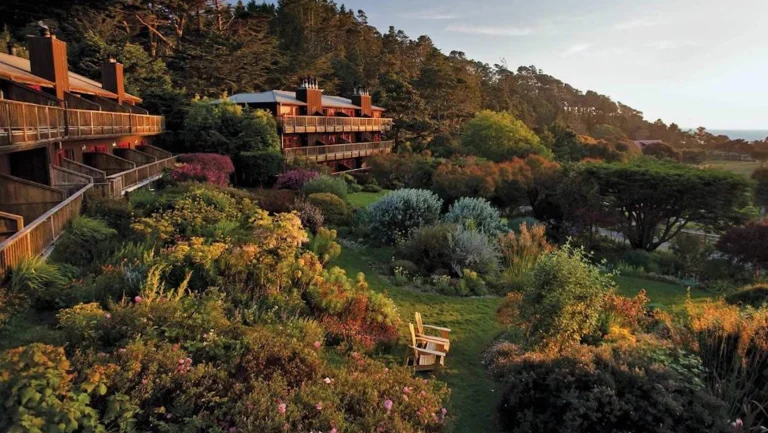 Enter a doggie paradise at dusk in the stunningly lush, flower-filled gardens surrounding the multi-story Stanford Inn. The vibrant blossoms create a delightful visual spectacle, providing an exciting adventure for both you and your four-legged friend to discover.