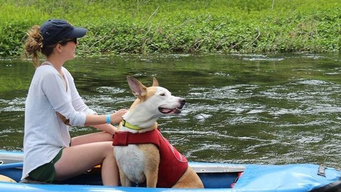 dog and woman in a canoe