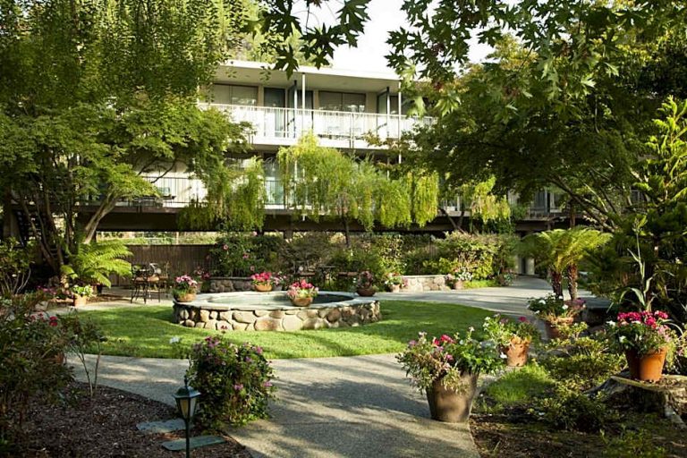 Lush garden courtyard with flowering plants, stone fountain, and outdoor seating in a peaceful residential complex; ideal for dog-friendly outdoor activities and relaxation.