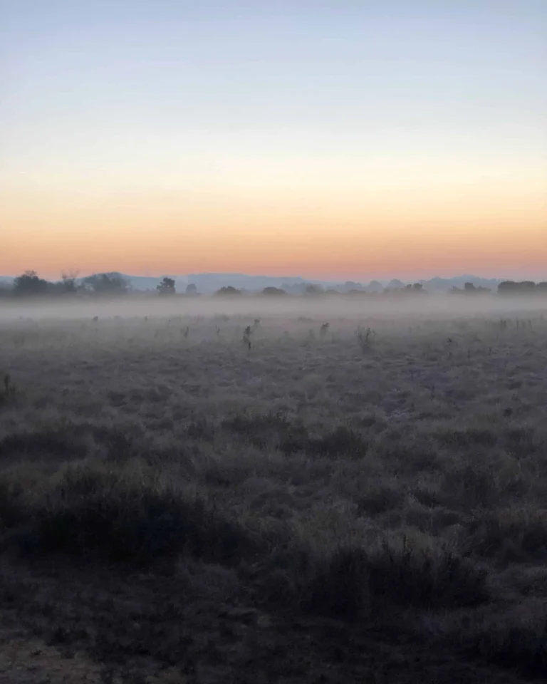 Sunrise at Shollenberger Park, Petaluma.