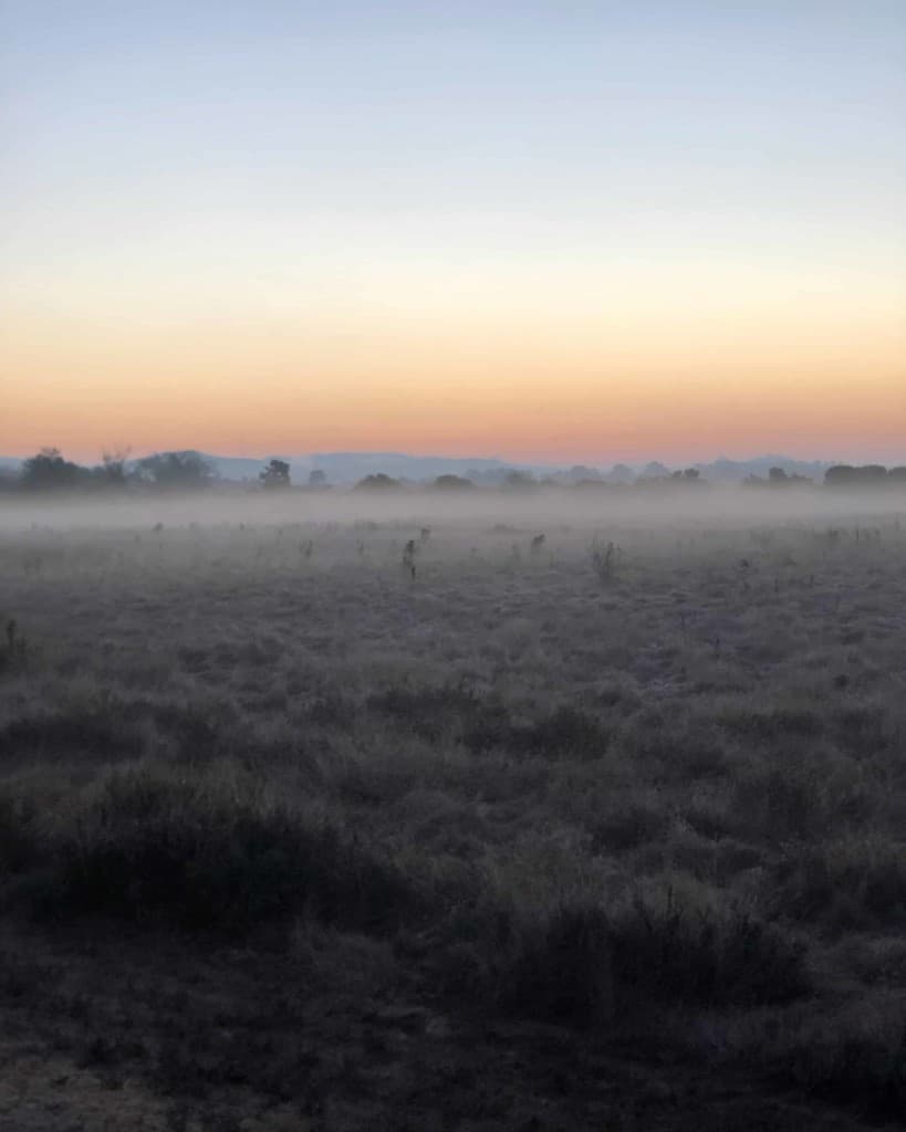 sunrise over marshland with low fog in Petaluma
