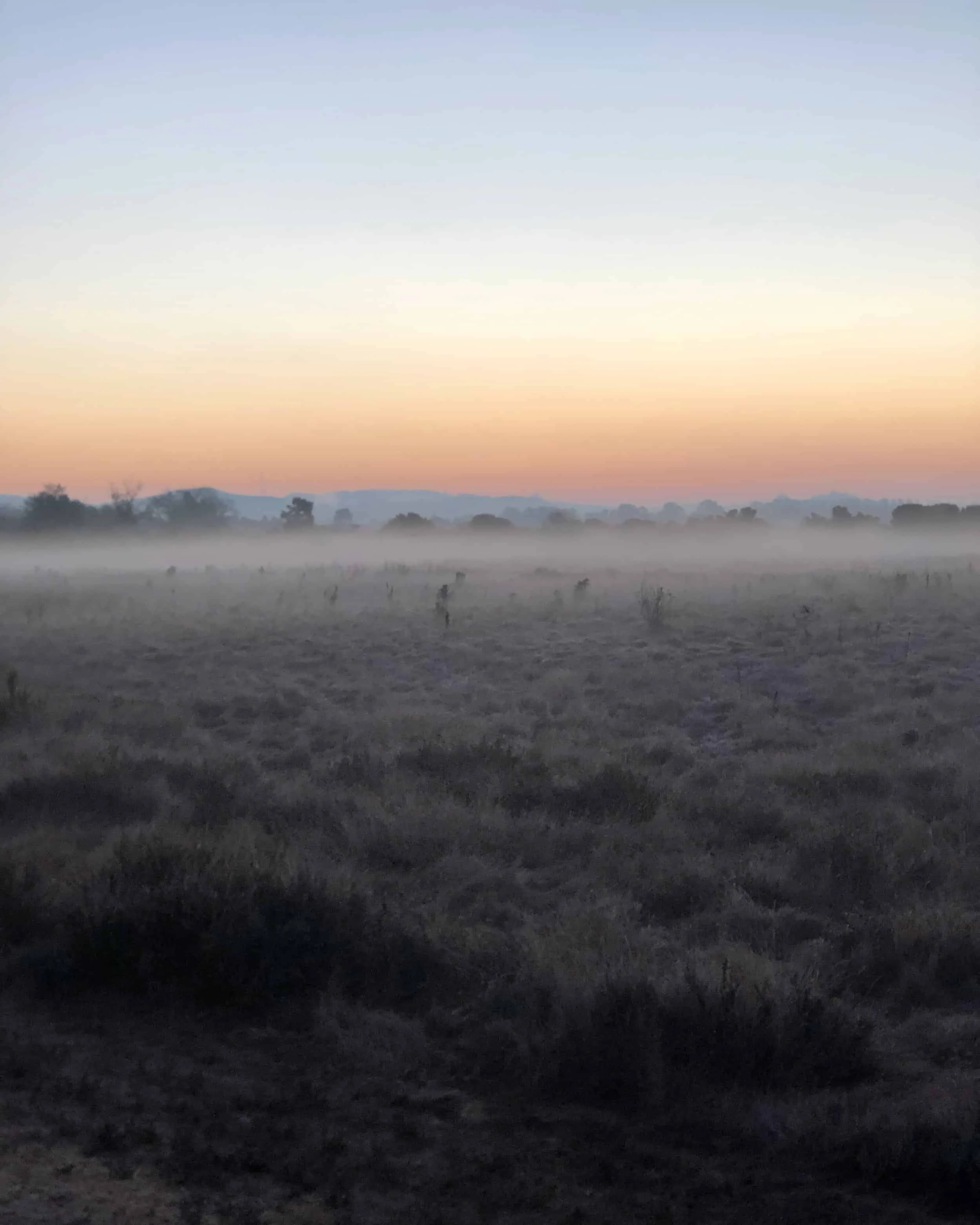 Sunrise at Shollenberger Park, Petaluma.