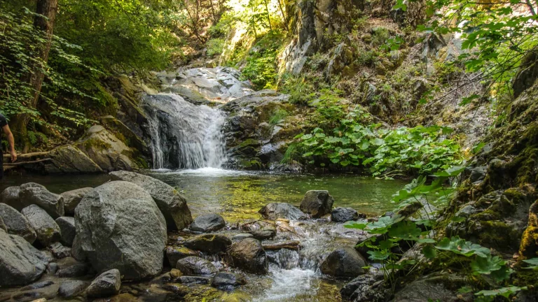 Brandy Creek Falls.