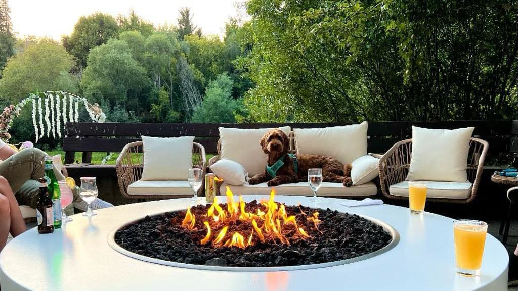 Doodle dog on outdoor sofa in front of fire pit