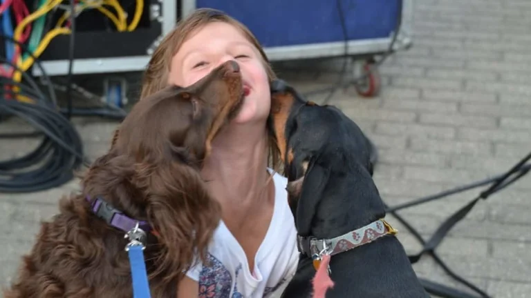 Image from Good and bad of dog kisses on DogTrekker