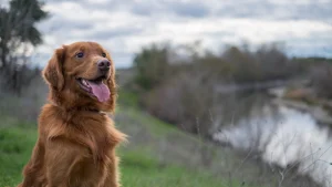 East Bay hikes for fresh-air fiends