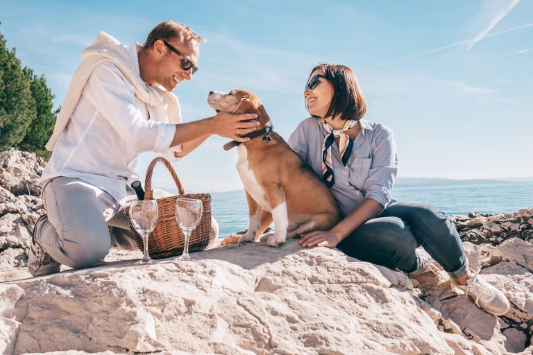 A couple in casual attire sits on the rocky shoreline of Santa Cruz County with their dog. The man gently pets the dog's head, while the woman beside him smiles warmly. Nearby, a picnic basket and two wine glasses suggest a visit to one of the region's wineries. The day is sunny, with clear skies stretching over the sea.