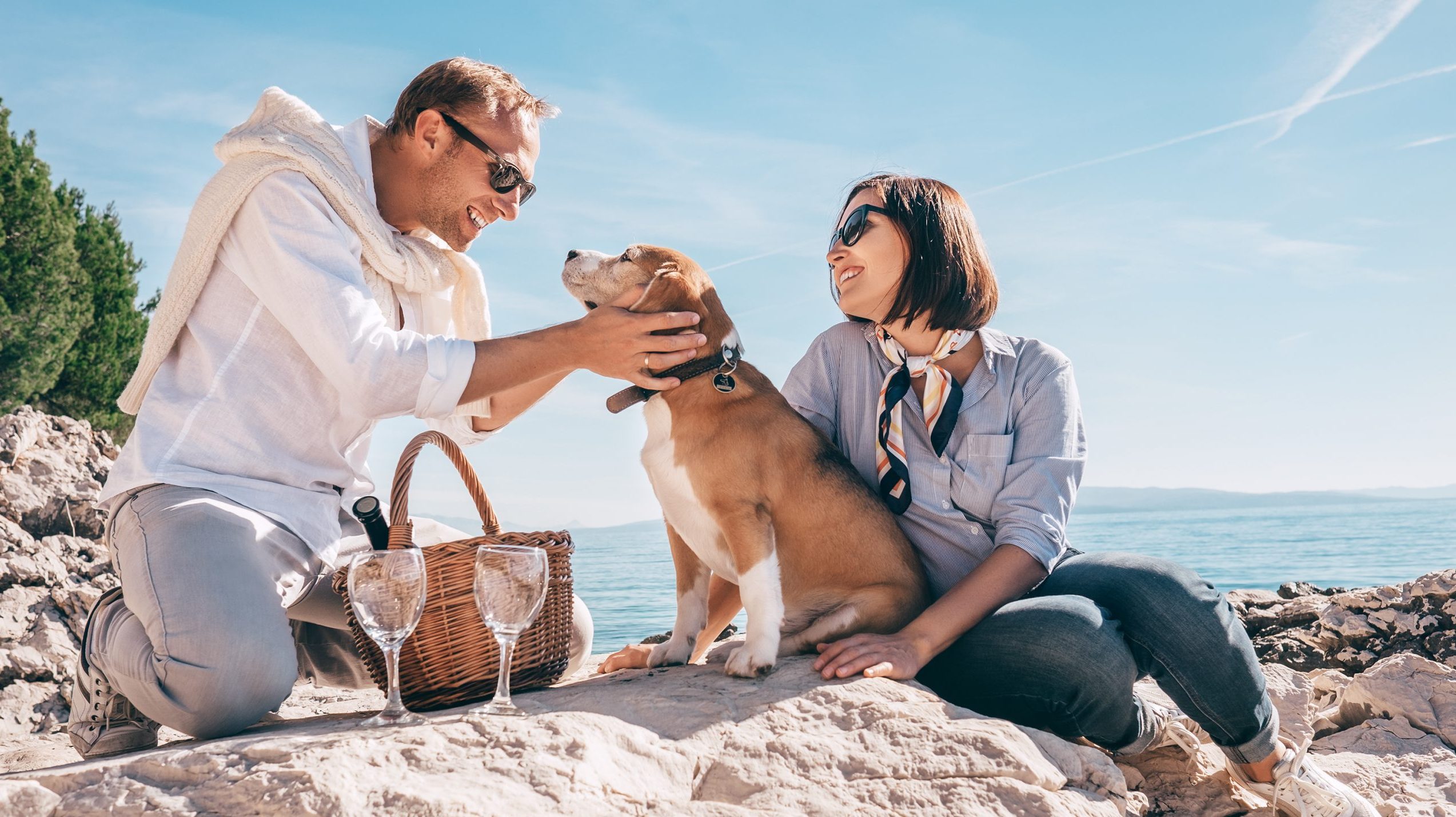 A couple in casual attire sits on the rocky shoreline of Santa Cruz County with their dog. The man gently pets the dog's head, while the woman beside him smiles warmly. Nearby, a picnic basket and two wine glasses suggest a visit to one of the region's wineries. The day is sunny, with clear skies stretching over the sea.