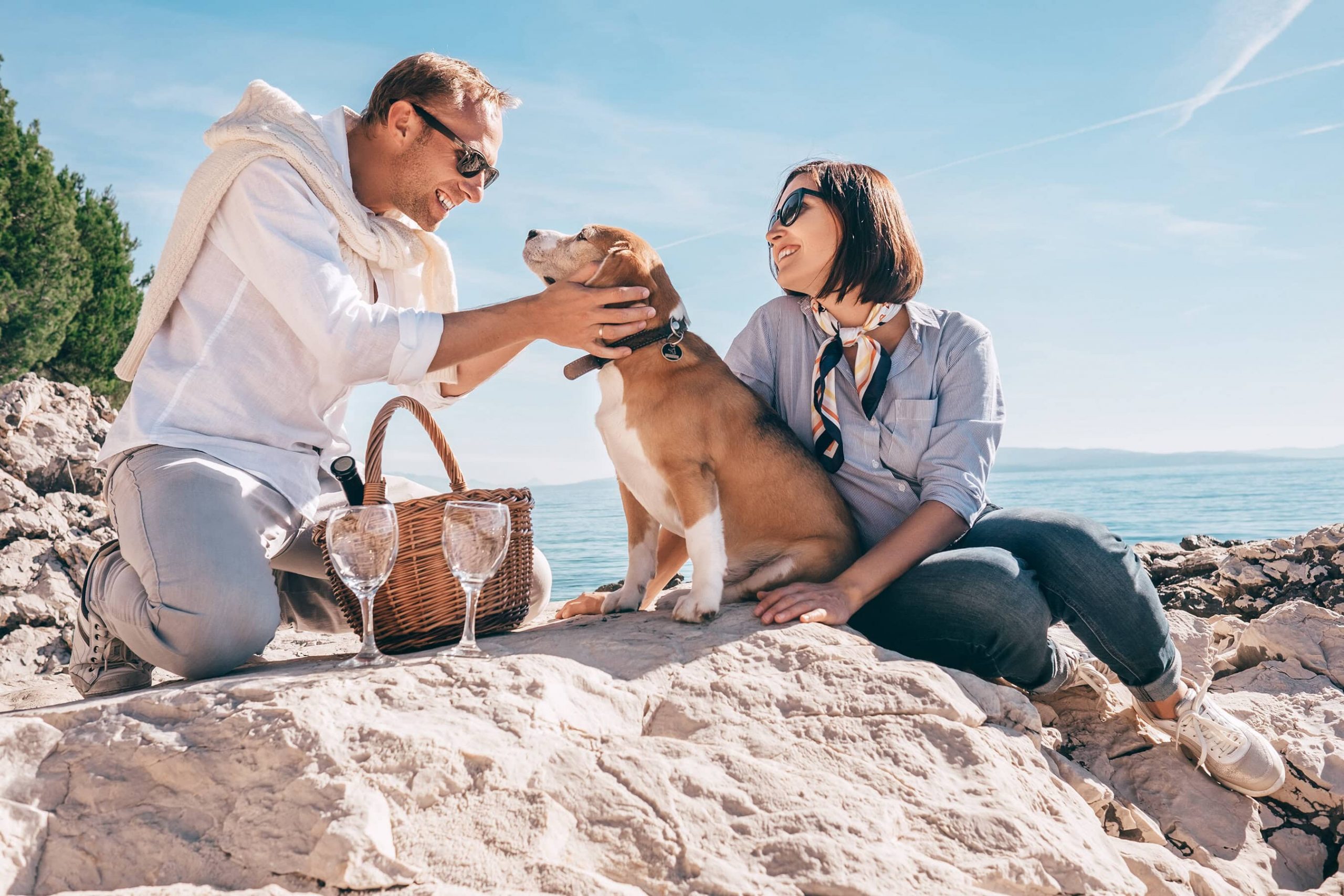 A couple in casual attire sits on the rocky shoreline of Santa Cruz County with their dog. The man gently pets the dog's head, while the woman beside him smiles warmly. Nearby, a picnic basket and two wine glasses suggest a visit to one of the region's wineries. The day is sunny, with clear skies stretching over the sea.