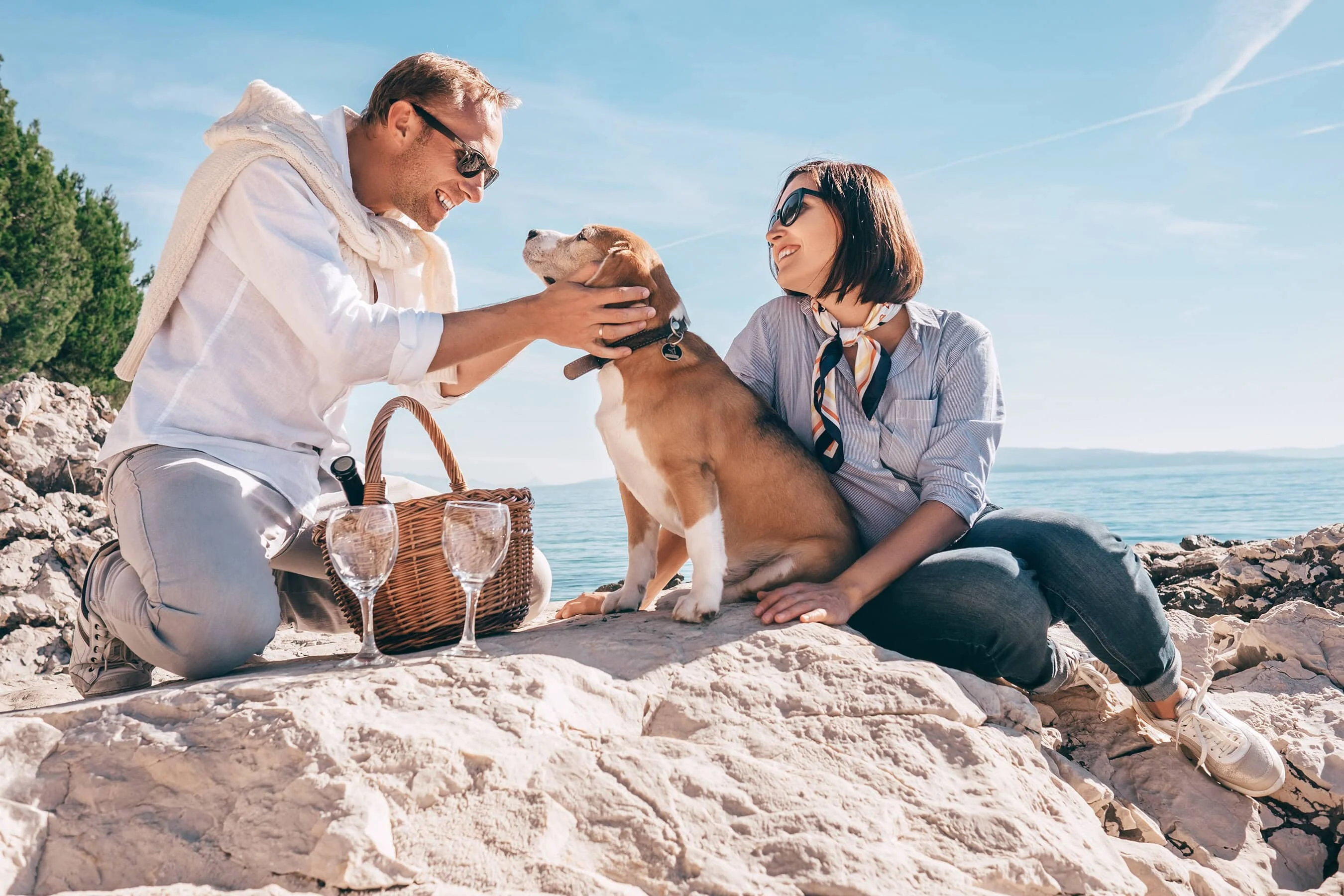Image from Santa Cruz: as much about wine as beaches on DogTrekker