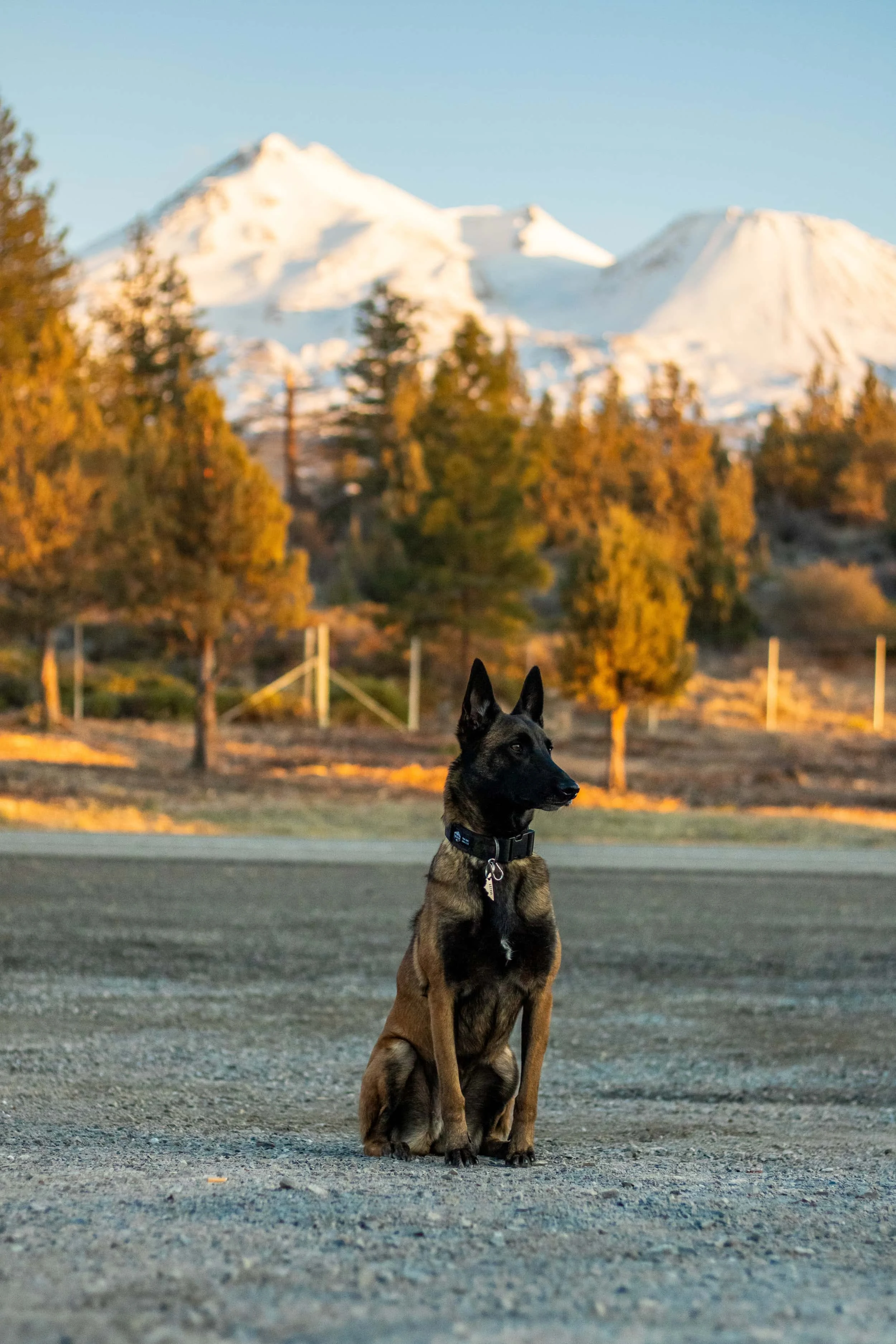 Watching the sun set on Mount Shasta.