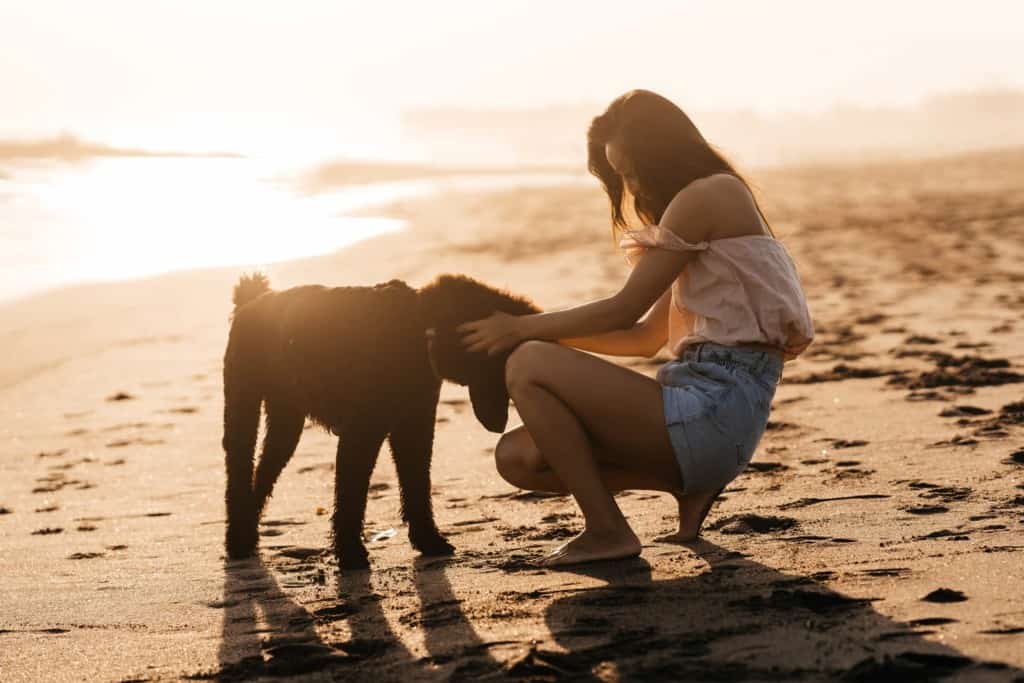 Woman with dog on beach.