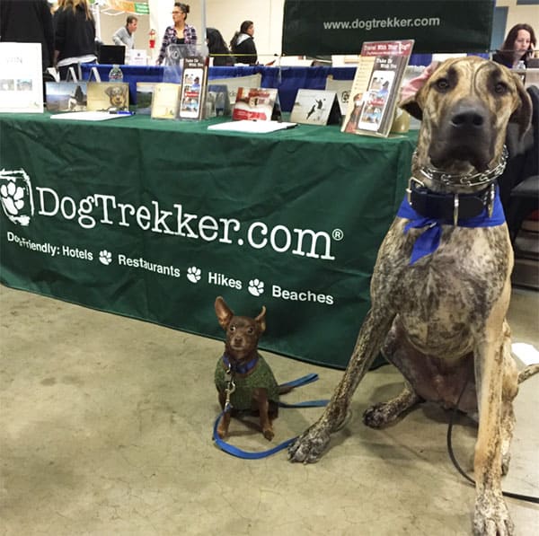 Alvin and Theodore at DogTrekker booth