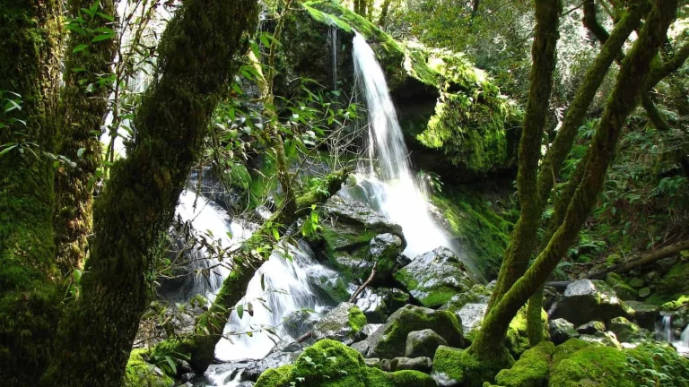 Cataract Falls in Marin County.