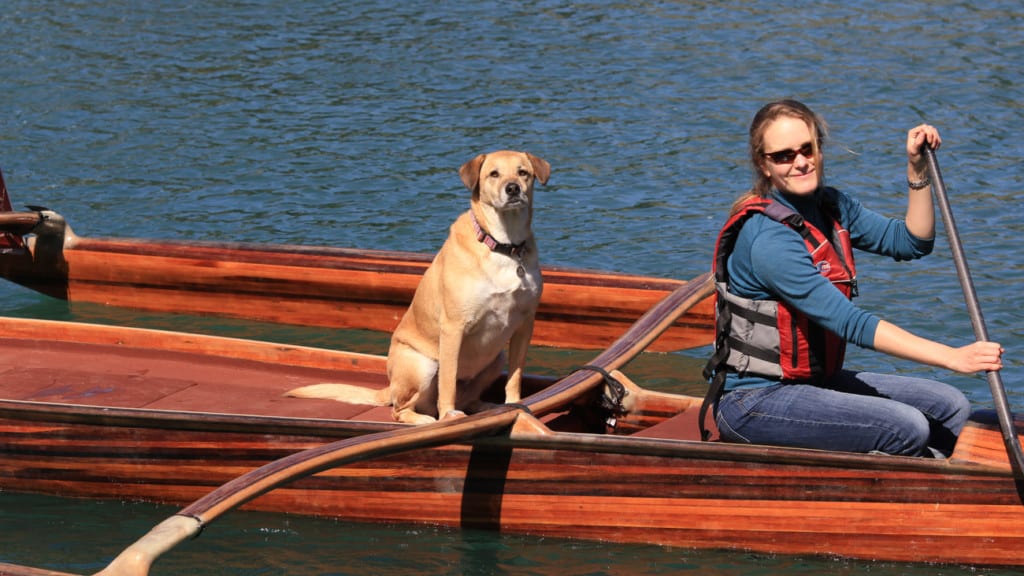 Dog in canoe at Catch a Canoe in Mendocino