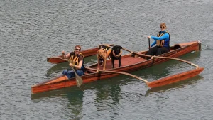 Catch a ride on a canine cruiser