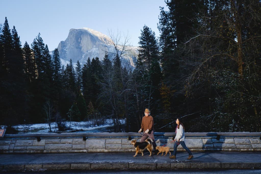 couple walks dog on bridge in Yosemite with view of Half Dome