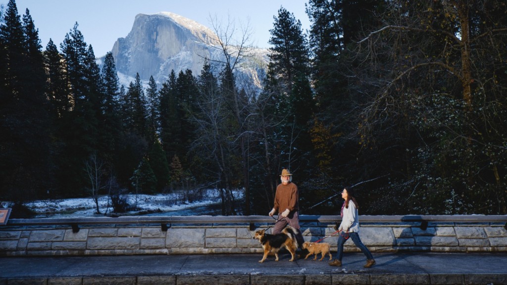 couple walks dog on bridge in Yosemite with view of Half Dome