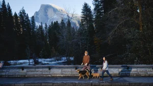 Yosemite in winter: Doglicious!