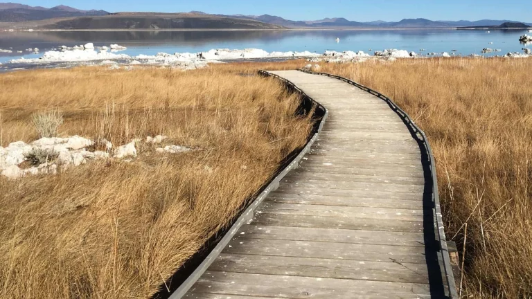Mono Lake Boardwalk.