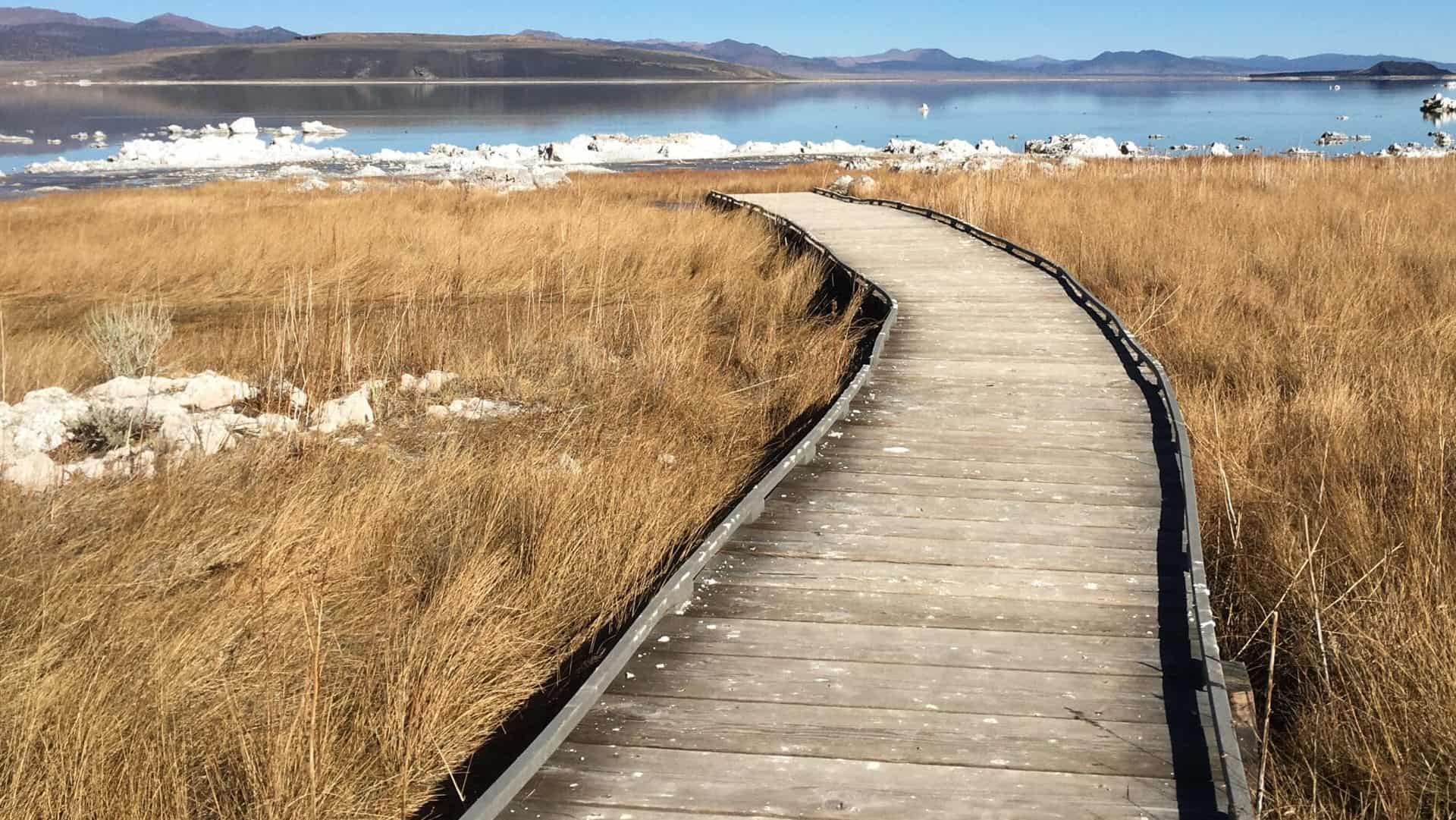 Mono Lake Boardwalk