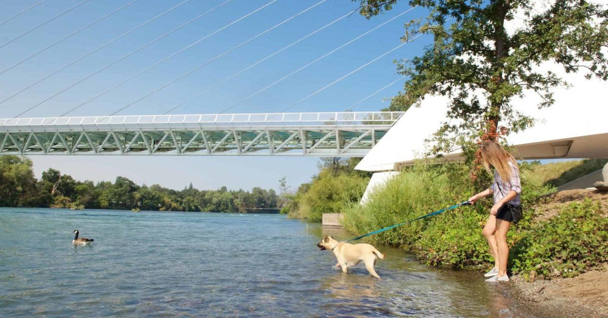 Dogfriendly Redding