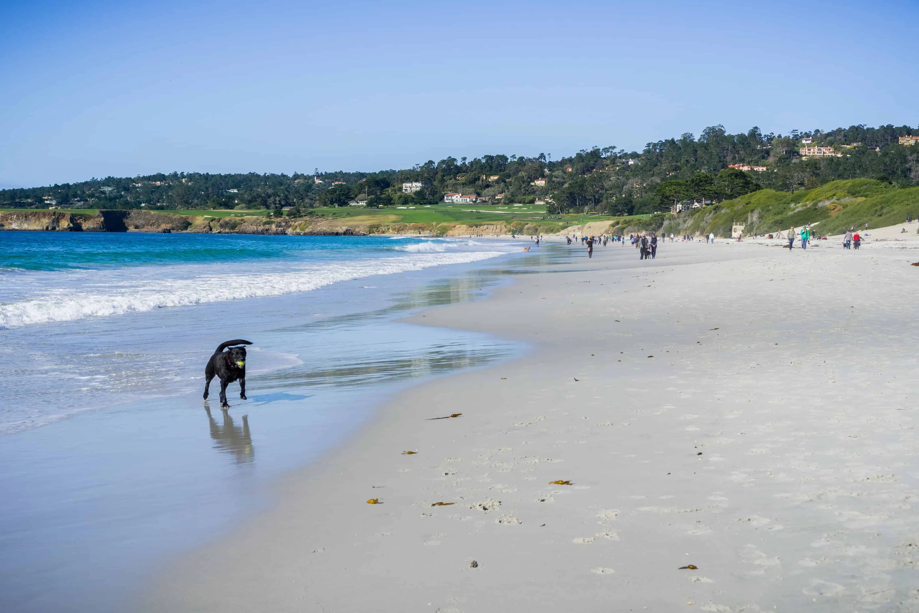 Image from Central coasting in winter on DogTrekker