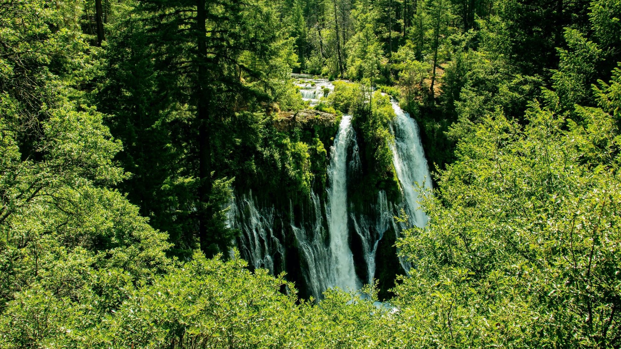 Waterfall by the Great Shasta Rail Trail