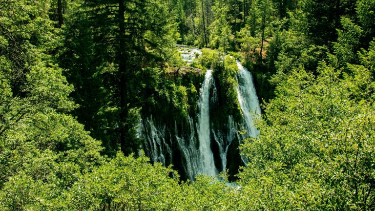 Waterfall by the Great Shasta Rail Trail