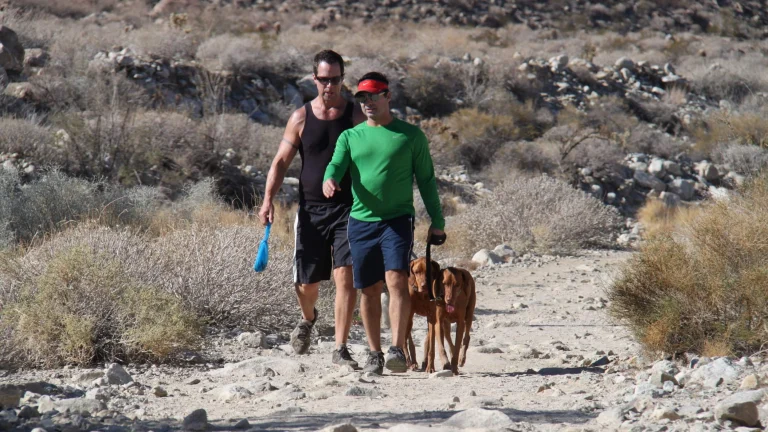 Image from Hit the trail on DogTrekker