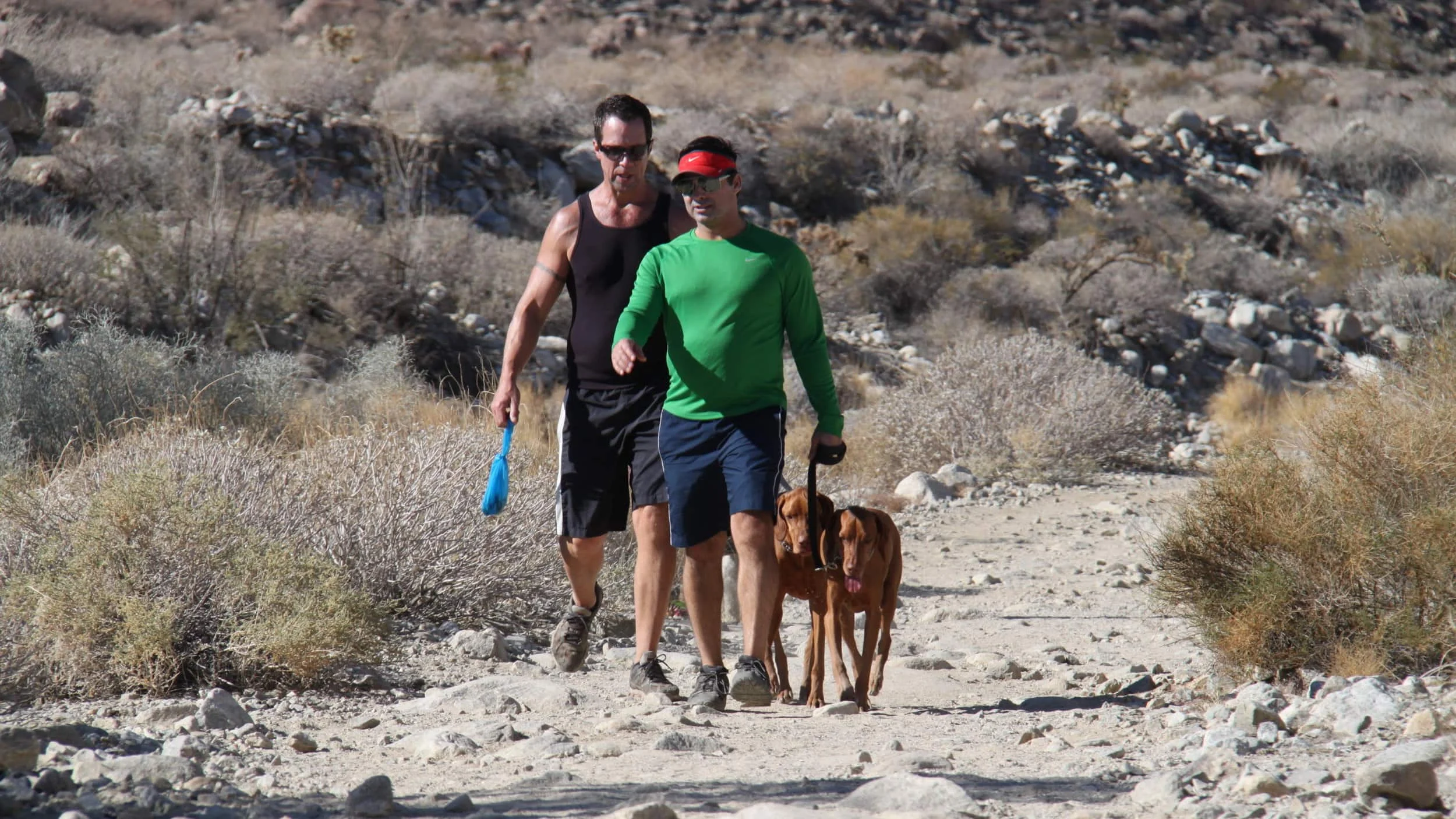 Image from Hit the trail on DogTrekker
