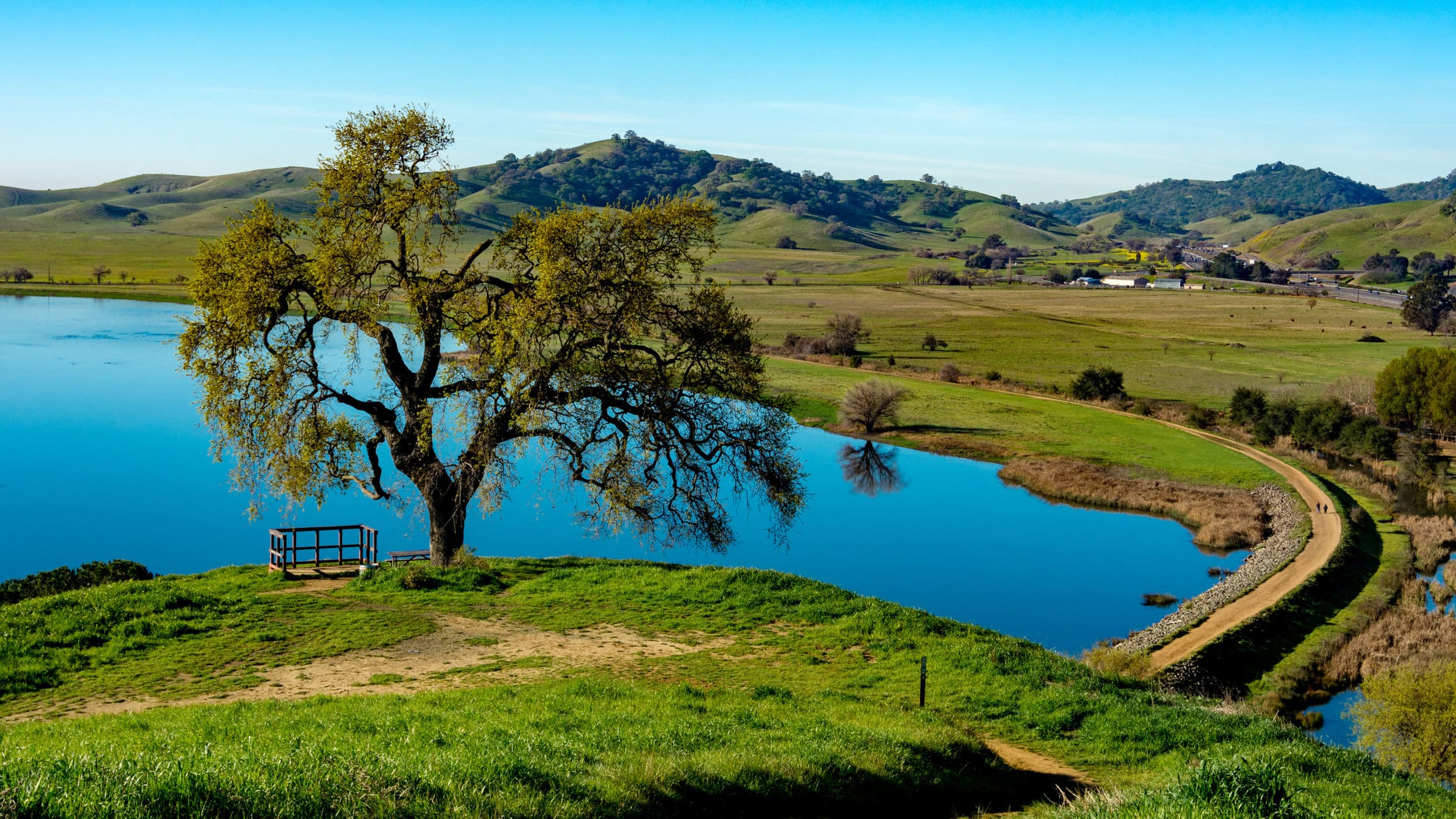Panoramic view of Lagoon Valley Park in Vacaville, California, USA, featuring oak tree and a lake and pedestrian walkway around it, from above