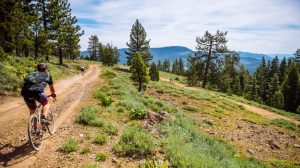 Two cyclists navigate a dirt trail in the Lost Sierra, a rugged landscape filled with dense forest and towering mountains. Their path winds through greenery and clusters of pine trees, while a mountain range looms in the distance. One cyclist, equipped with a helmet and backpack, appears prepared to explore further trails.