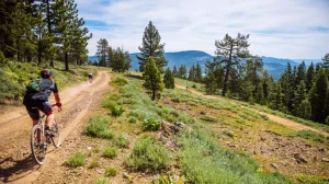 Discover the ‘Lost Sierra’