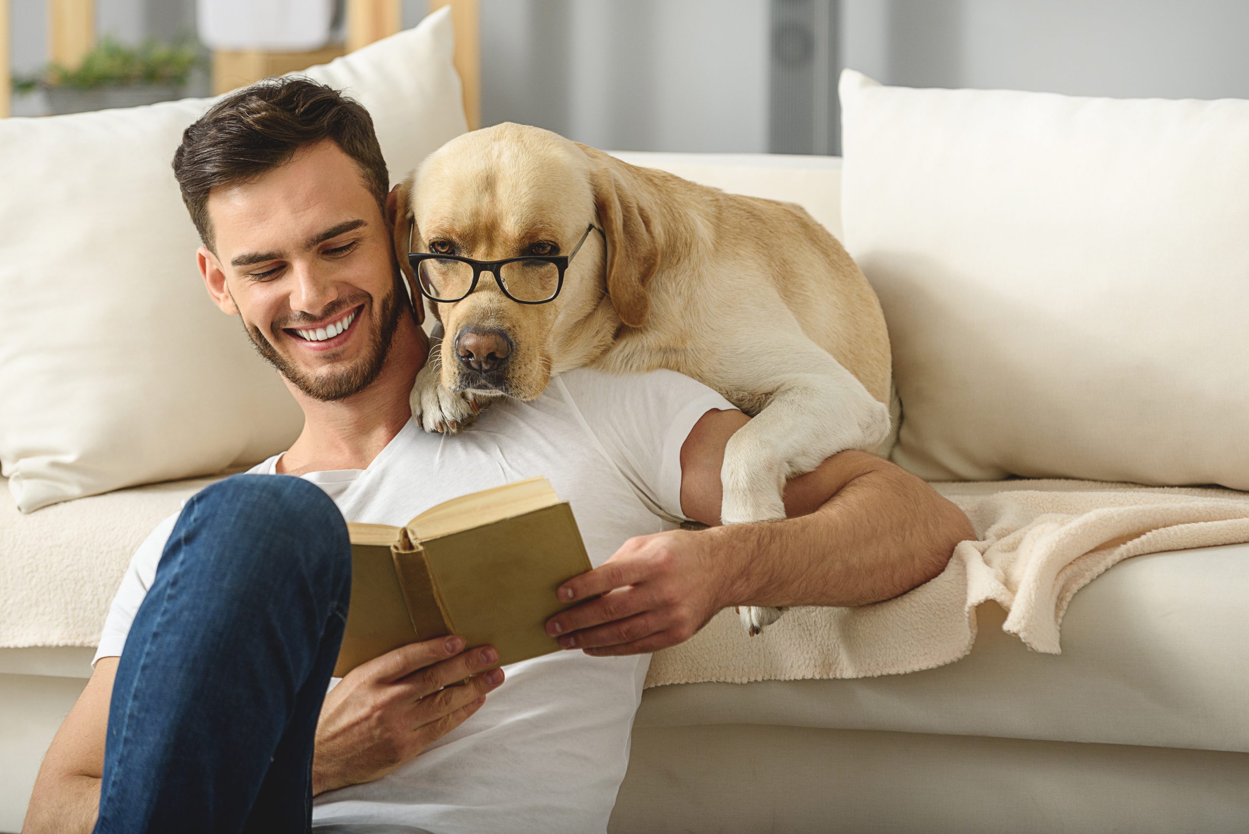 Man and dog reading a book together