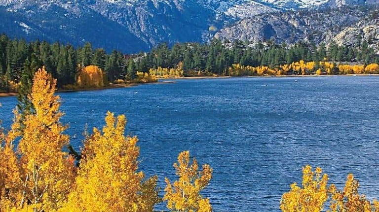 Fall color Eastern Sierra