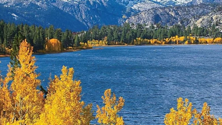 Fall color, Eastern Sierra.