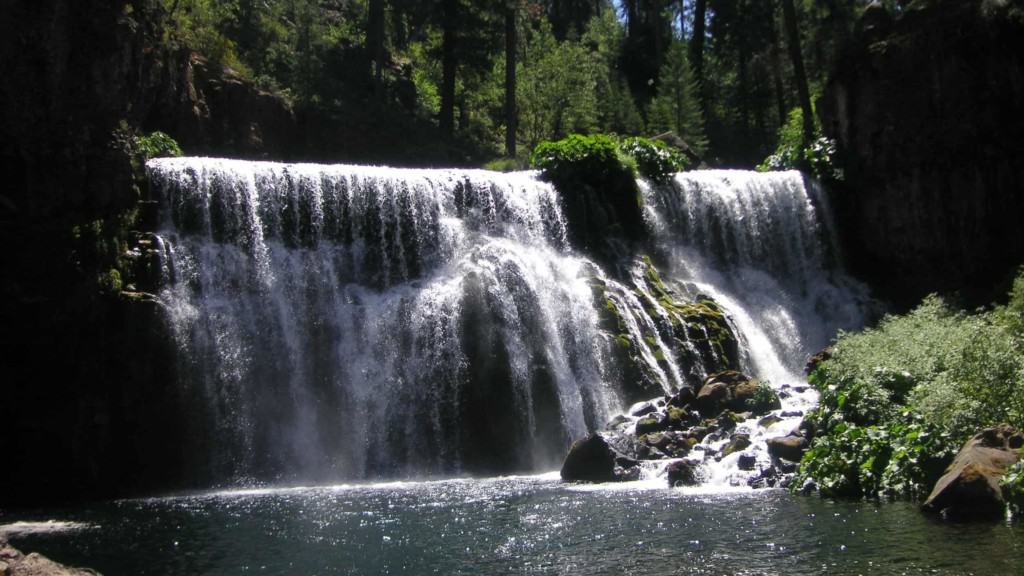 waterfall in Shasta