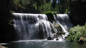 Woof it up with these scenic Shasta Cascade excursions