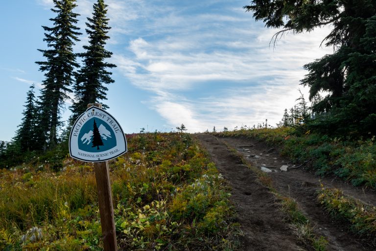 A dirt path winds uphill through a grassy meadow dotted with wildflowers. Tall evergreen trees stand on both sides of the trail. A sign on the left reads "Pacific Crest Trail - National Scenic Trail." The sky is partly cloudy, ideal for a hike with Lucy.