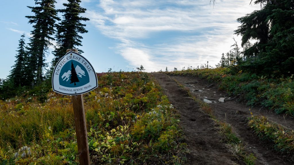 A dirt path winds uphill through a grassy meadow dotted with wildflowers. Tall evergreen trees stand on both sides of the trail. A sign on the left reads "Pacific Crest Trail - National Scenic Trail." The sky is partly cloudy, ideal for a hike with Lucy.