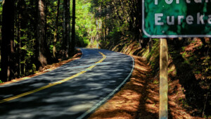 Road to Eureka through the redwoods