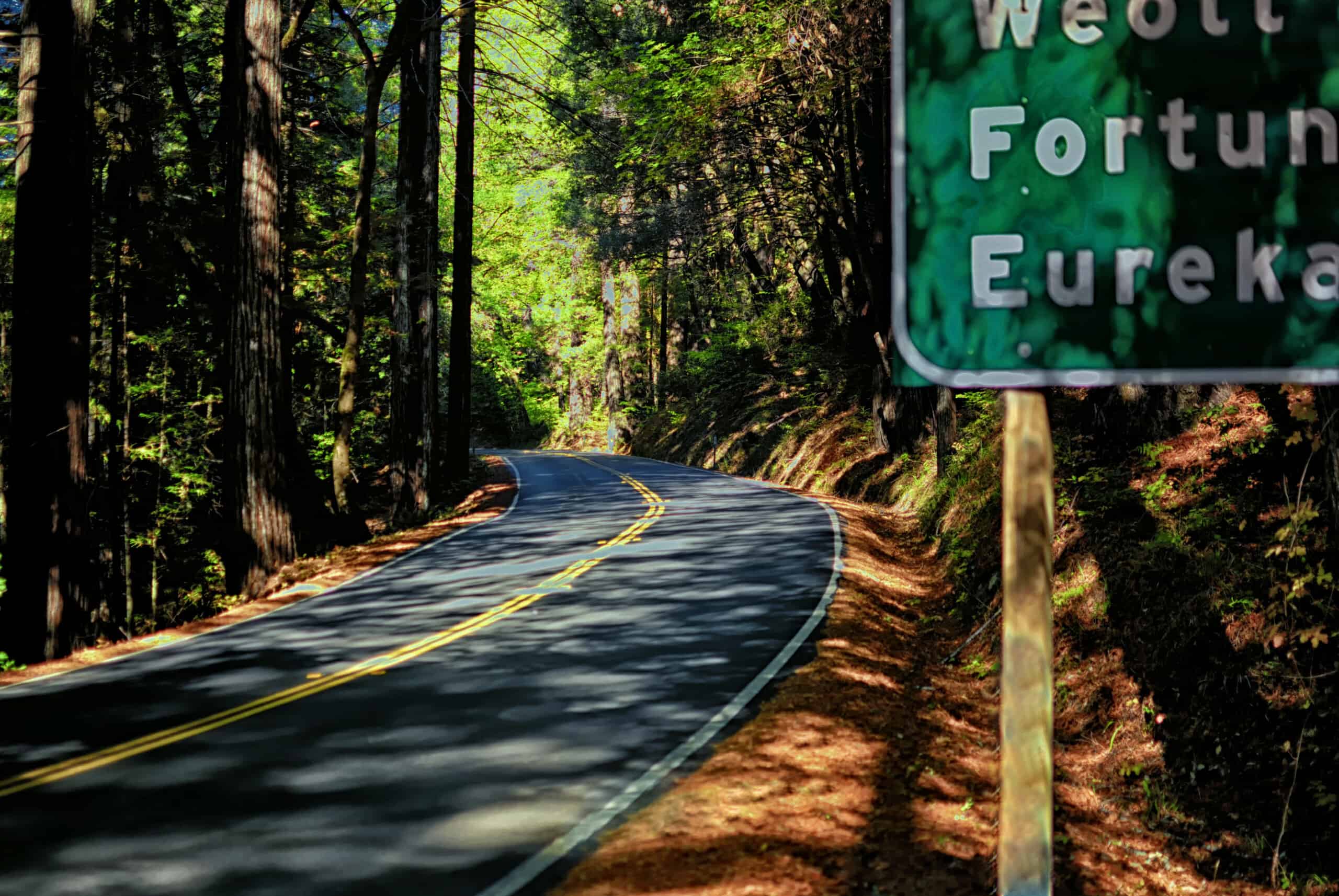 Road to Eureka through the redwoods