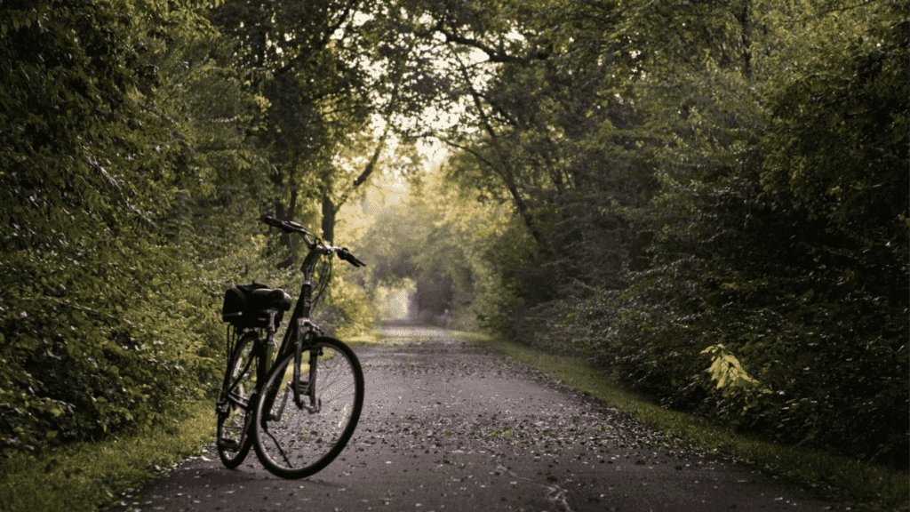bike sits on paved trail lined with trees.