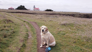 Rio at Point Cabrillo Lighthouse station. Photo by Sueanne.