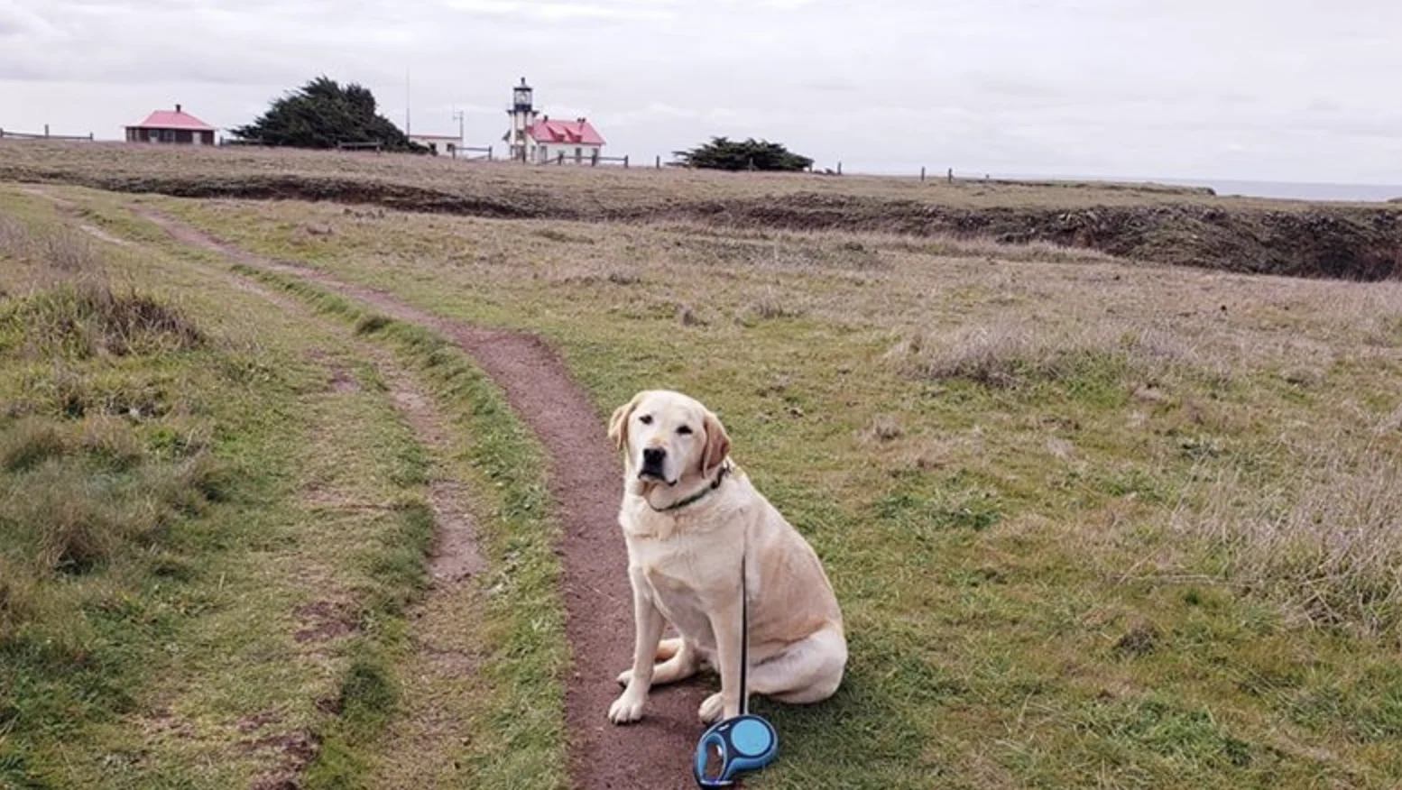 Rio at Point Cabrillo Lighthouse station.