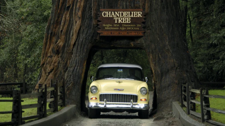Image from Mendocino's inland charms on DogTrekker
