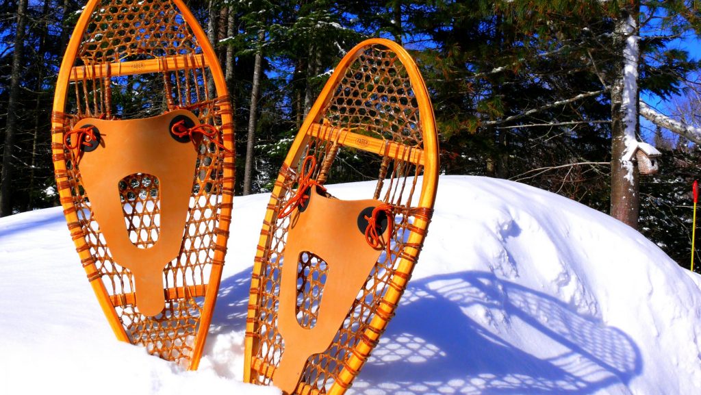 Two wooden snowshoes with leather bindings stand upright in a snowbank, next to Tahoe's pine trees covered in snow.